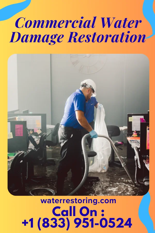 Commercial Water Damage Restoration in Micanopy, FL