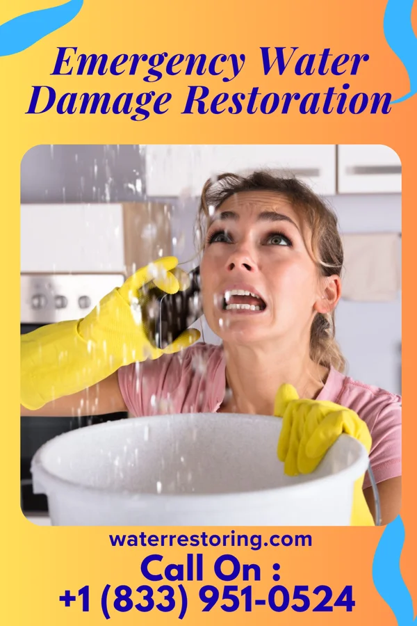 Emergency Water Damage Restoration in Micanopy, FL
